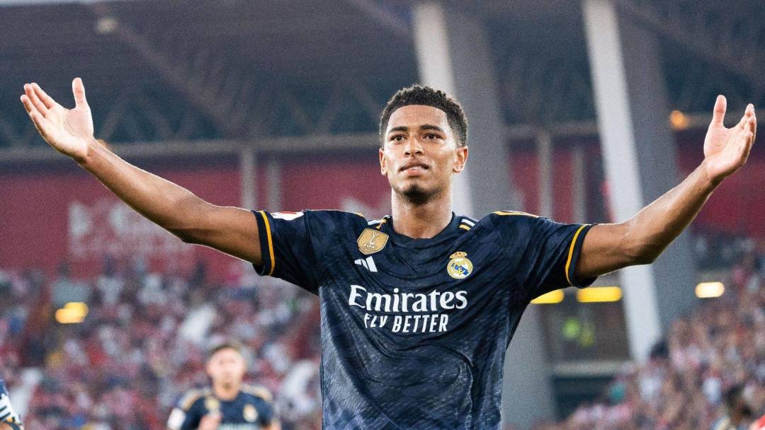 弄清庄家优 弄清庄家优